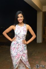 Anisha Ambrose at Run Movie Gummadikaya Function